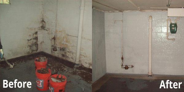 Basement Mold